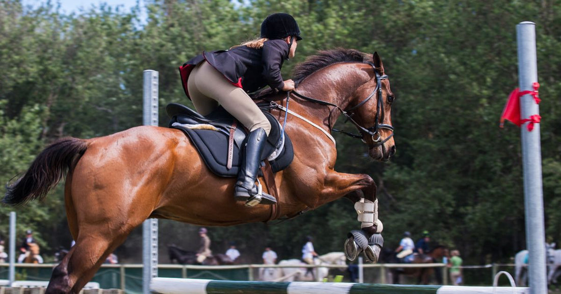 Breeches and Tights