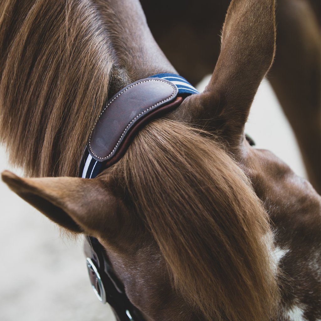 horse leather headcollar, Horse Headcollar, Leather Headcollar, Horse Breastplate, Horse bridle