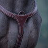 horse saddle, Horse Breastplate, Horse Saddle Pad