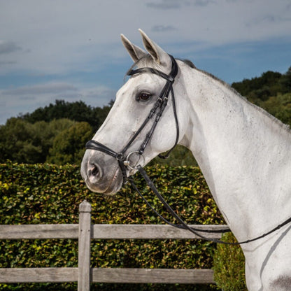 Horse Bridle, Leather bridle, bridle for horse, Horse Breastplate, Horse reins