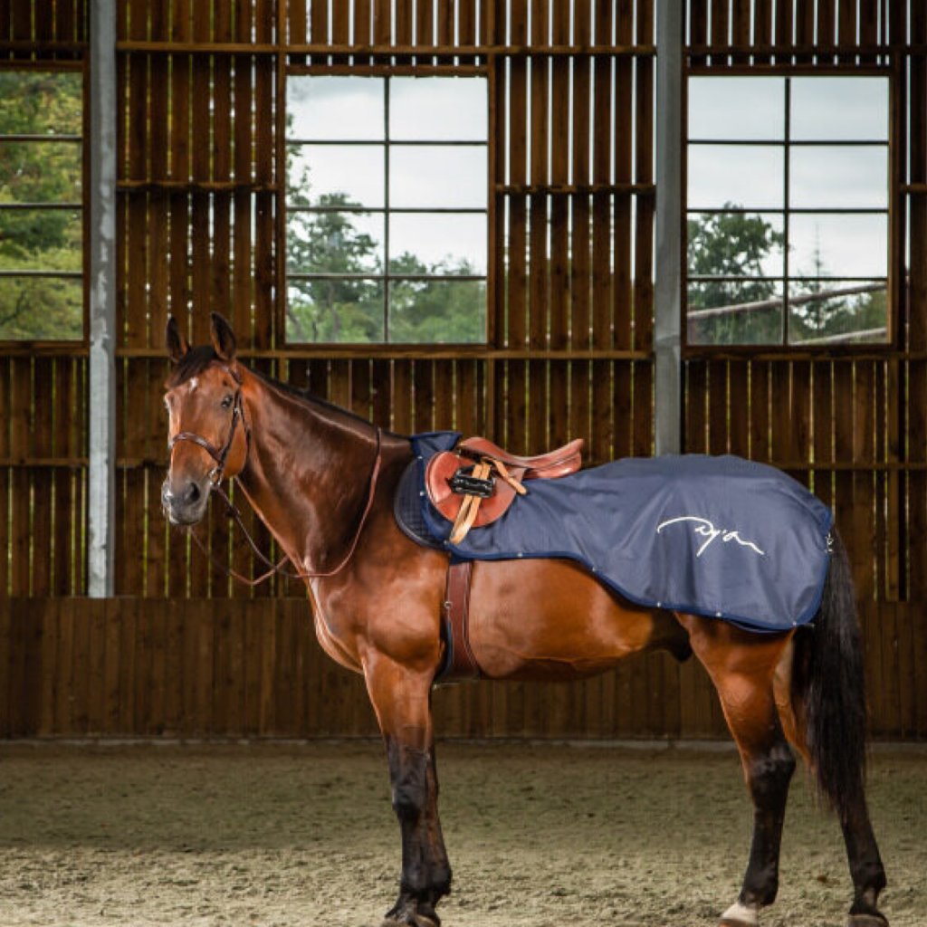 Horse rug