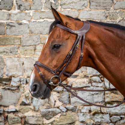 Horse Bridle